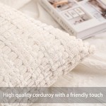 Pack of 2 Corduroy Decorative Throw Pillow Covers 18x18 Inch Soft Striped Pillow Covers Modern Farmhouse Home Decor for Sofa Living Room Couch Bed(Cream White)