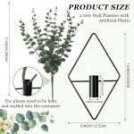 Jexine 4 Pcs Hanging Planters with Artificial Eucalyptus Metal Hanging Vase Indoor Plants Holder Modern Geometric Boho Bathroom Wall Decor for Living Room Home Office(Black) Jexine 4 Pcs Hanging Planters with Artificial Eucalyptus Metal Hanging Vase Indoor Plants Holder Modern Geometric Boho Bathroom Wall Decor for Living Room Home Office(Black)