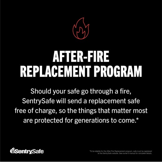 SentrySafe Fireproof Safe Box with Key Lock, Chest Safe with Carrying Handle to Secure Money, Jewelry, Documents, 0.25 Cubic Feet, 6.3 x 15.3 x 12.1 Inches, 1160