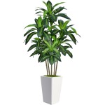 6FT Artificial Dracaena Tree, Fake Tree Indoor with White Tall Planter,Tall Artificial Plants Indoor,Artificial Silk Tree for Home Office Decor (White)