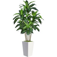 6FT Artificial Dracaena Tree, Fake Tree Indoor with White Tall Planter,Tall Artificial Plants Indoor,Artificial Silk Tree for Home Office Decor (White)