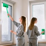 MyLifeUNIT Mesh Screen Cleaner, Detachable Window Screen Cleaning Brush Washing Tool, Windows Screen Cleaner with Wet and Dry Dual-Use